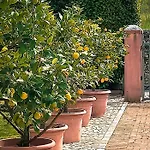 Casa Monte Villa Daire