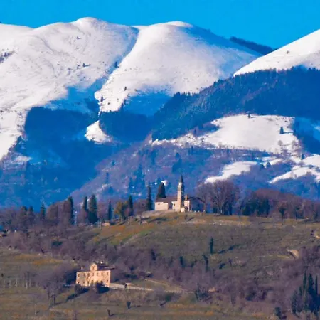 Monte *