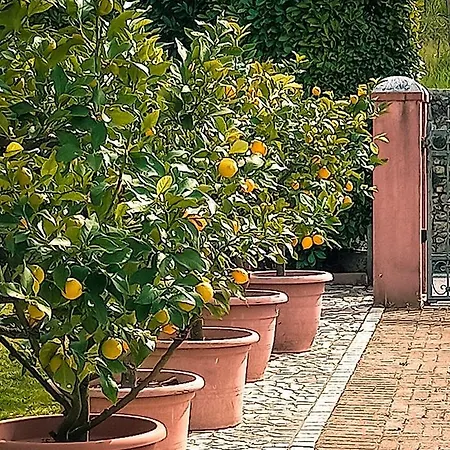 Casa Monte Villa דירה